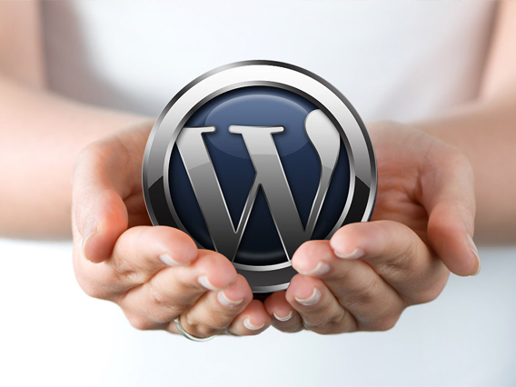 What is WordPress Development?